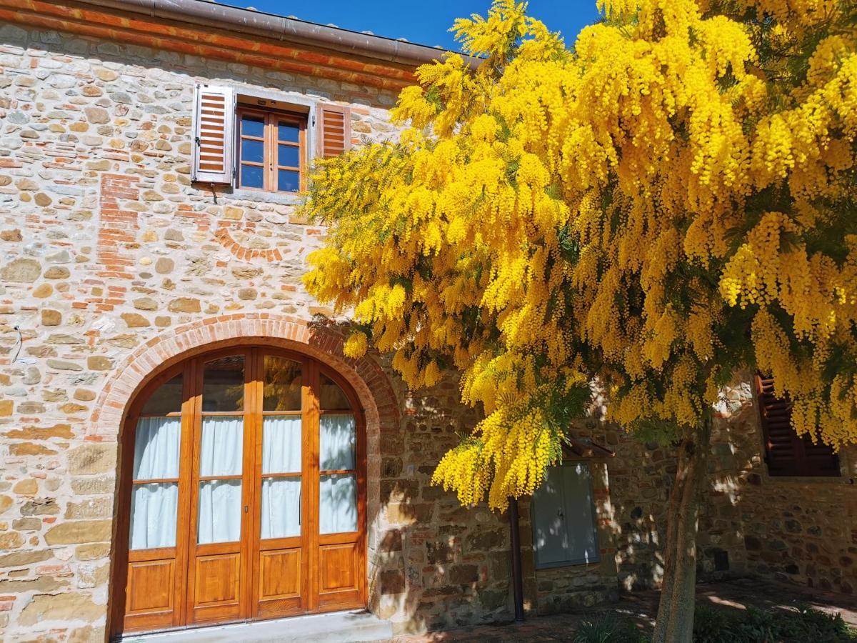 Antico Borgo Frosini Villa Arezzo Exterior photo