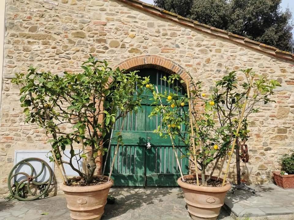 Antico Borgo Frosini Villa Arezzo Exterior photo